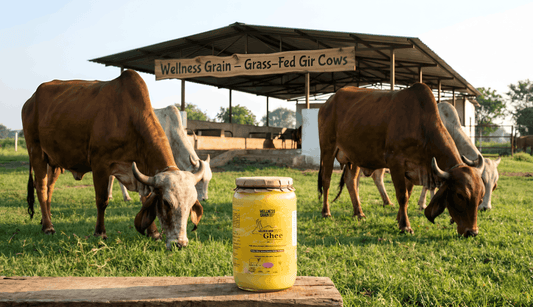 Grass-Fed vs Grain-Fed Ghee: What Indian Families Should Really Know