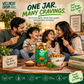 Quinoa Chips – Pudina | Baked, Protein-Rich & High-Fibre Snack