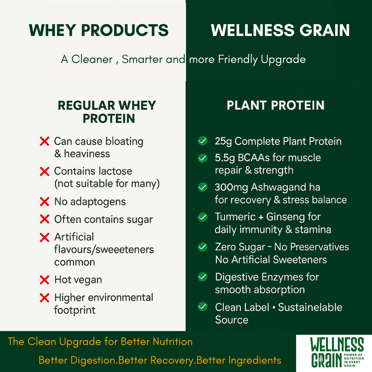 Wellness Grain plant protein powder for muscle recovery and daily nutrition