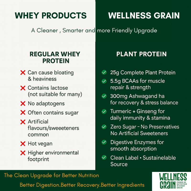 Plant Protein Powder