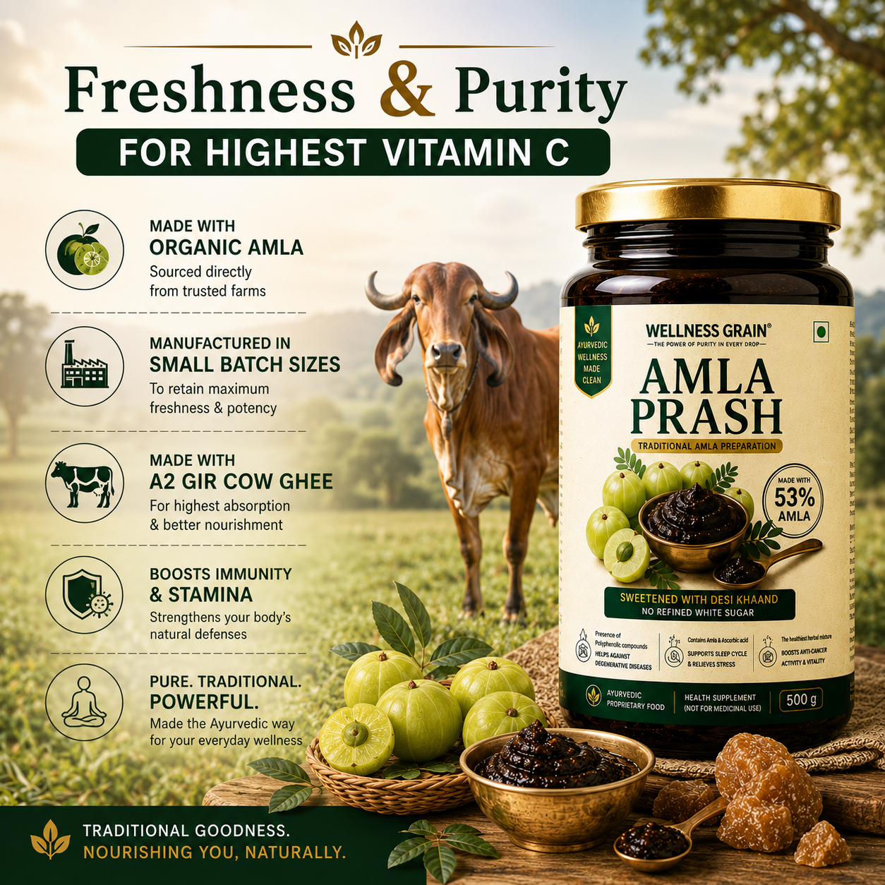 Amla Prash (350 gm) with 53% Amla, 31 Traditional Herbs & A2 Gir Cow Ghee, No Added Sugar (Buy 1 Get 1 Free )