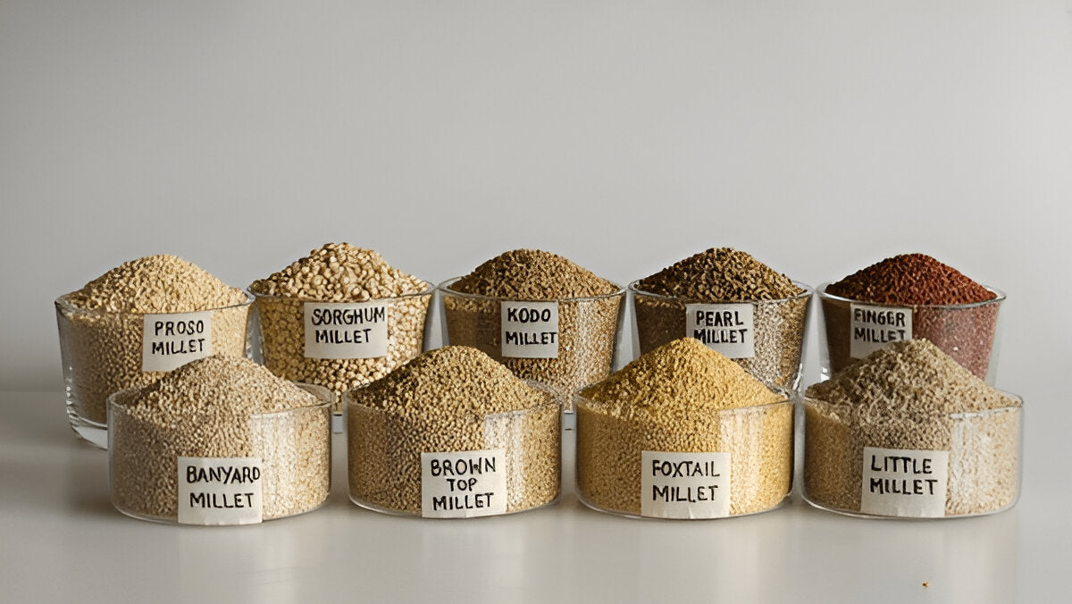 Wellness Grain Millet Noodles – 3x Protein. 4x Fiber. 100% Real Millet Goodness.