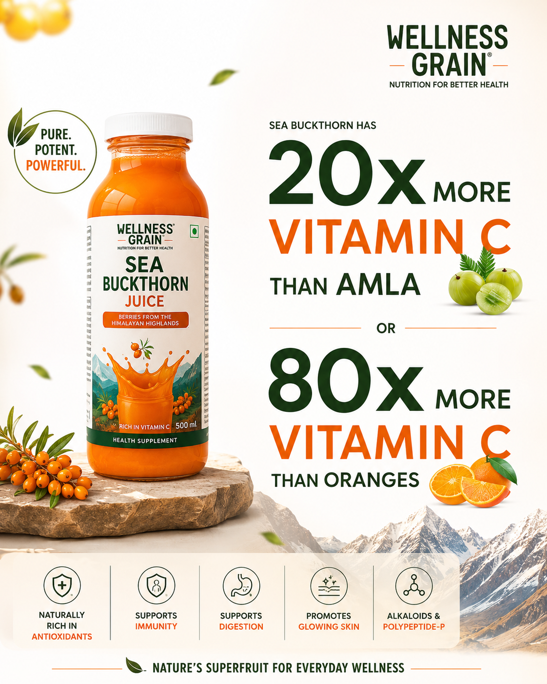 Sea Buckthorn Juice from Ladakh | Omega 3,6,7,9 & Vitamin C