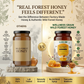 Raw Wild Forest Honey – Dark, Multiflora & Sustainably Harvested
