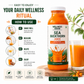 Sea Buckthorn Juice from Ladakh | Omega 3,6,7,9 & Vitamin C