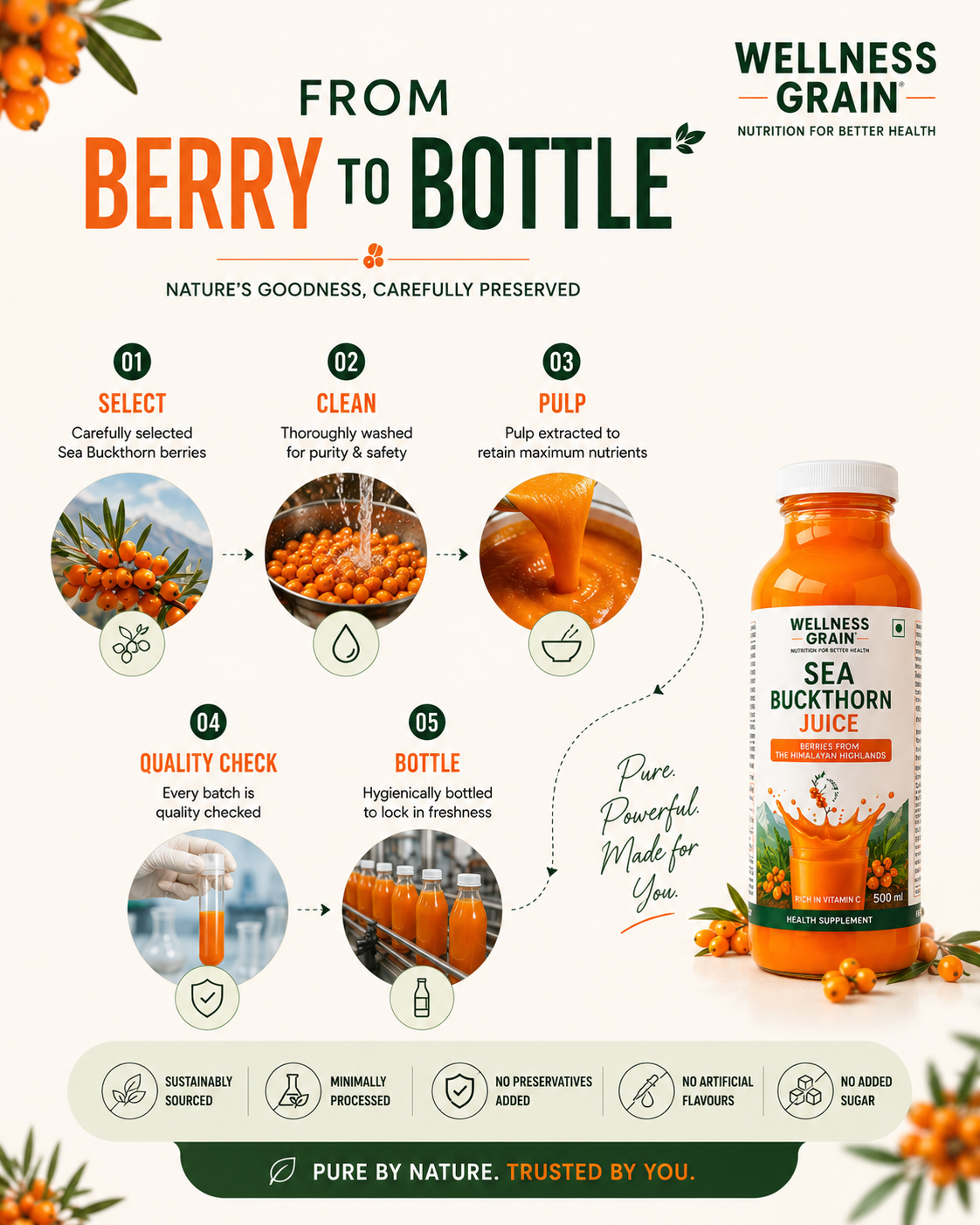 Sea Buckthorn Juice from Ladakh | Omega 3,6,7,9 & Vitamin C