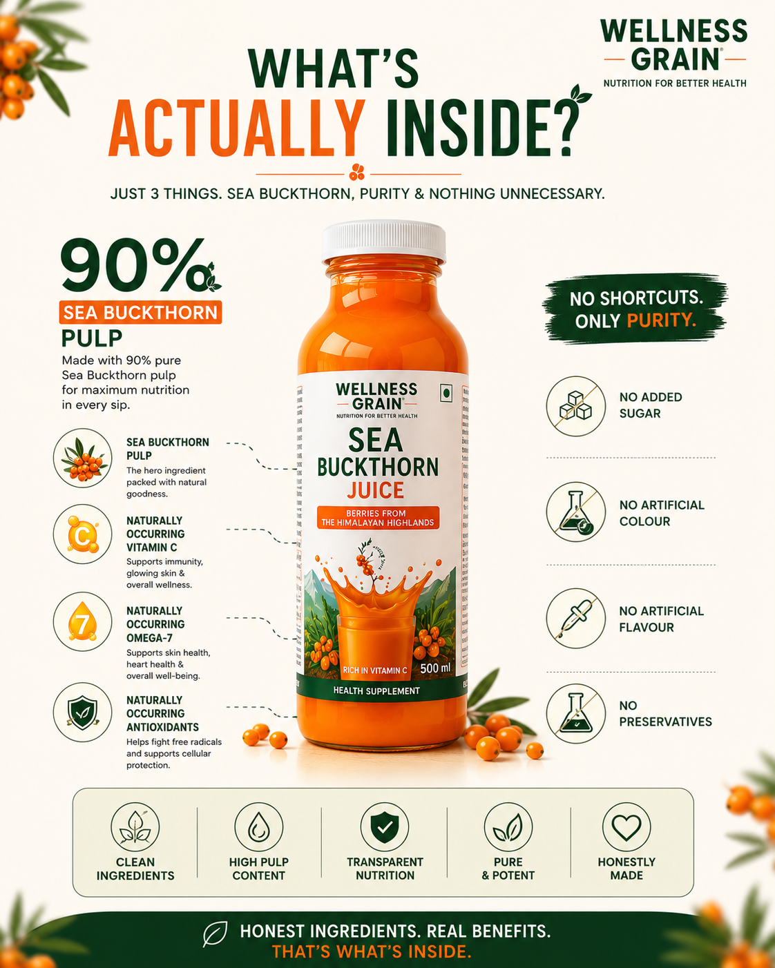 Sea Buckthorn Juice from Ladakh | Omega 3,6,7,9 & Vitamin C